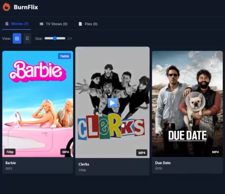BurnFlix Media Server