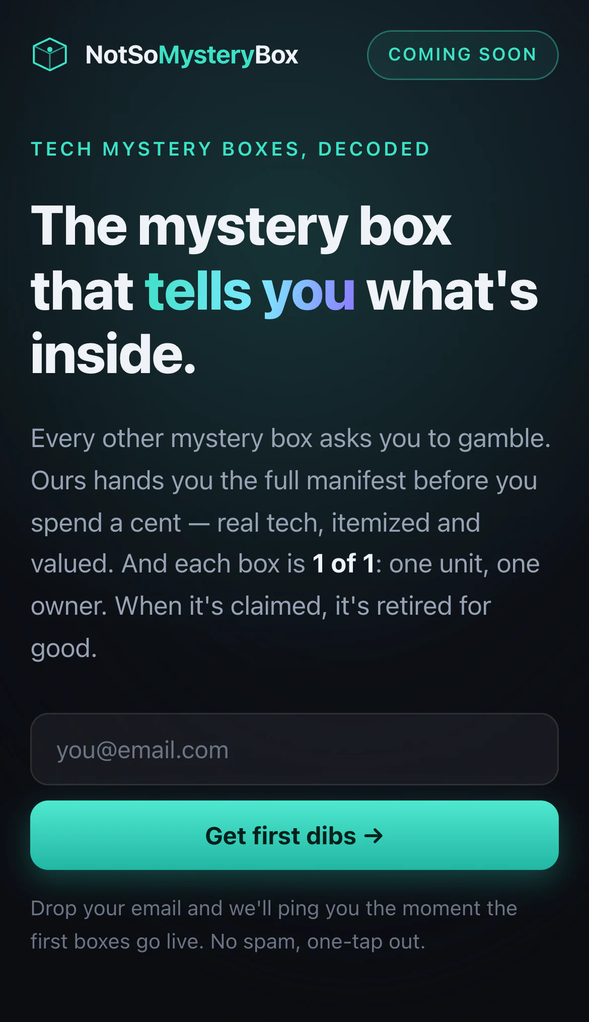 NotSoMysteryBox coming-soon page on a phone with the headline and an email waitlist form